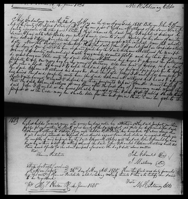NC.HAL.28.159.3