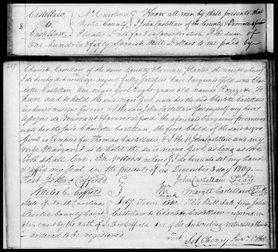 NC.BER.V.206.2