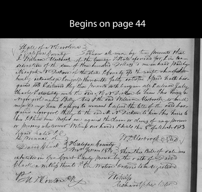 NC.HAL.23.44.2