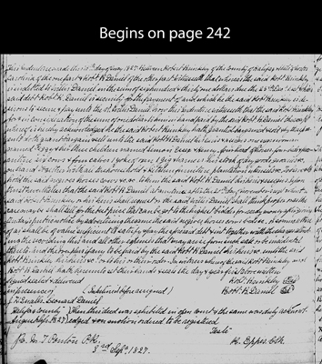NC.HAL.27.242.2