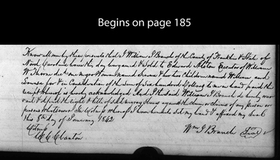 NC.HAL.31.185.2